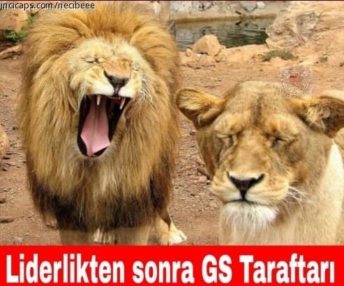 F.Bahçe - K. Erciyes caps’leri