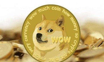 Dogecoin kaç TL oldu?