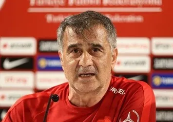 Bir Türk her işi başarır