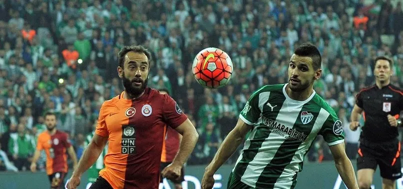 Aslan Bursa'da kayıp