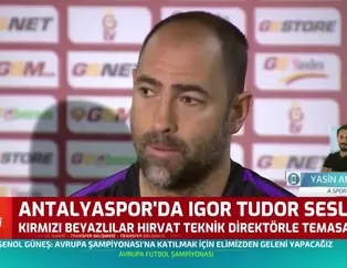 Tudor Süper Lig'e mi dönüyor?