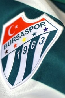 Bursaspor'a Rumen golcü