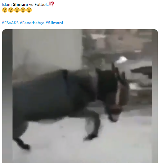 Fenerbahçeli taraftarlardan Comolli’ye Slimani tepkisi!
