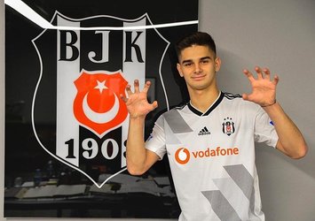 Beşiktaş'tan Ajdin Hasic kararı!