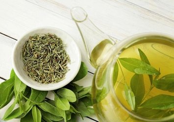Yeşil çay nasıl yapılır? Yeşil çayın faydaları nedir? Yeşil çayın bilinmeyen yönleri...