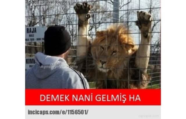 En komik transfer dönemi capsleri