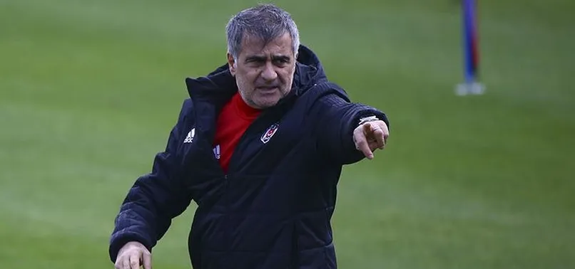 Şenol Güneş bol paslı oyuna dönmek istiyor