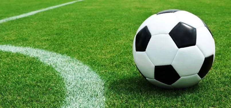 Amed Sportif Faaliyetler: 2 - Bucaspor: 1