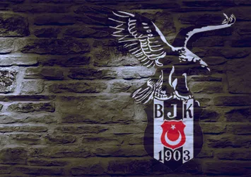 Kartal hocasını arıyor