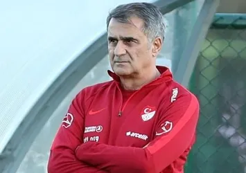 Milli ruh döndü