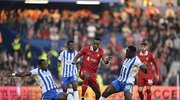 Şampiyon Brighton’a mağlup!