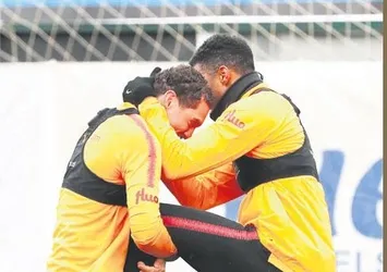 Pürneşe Aslan