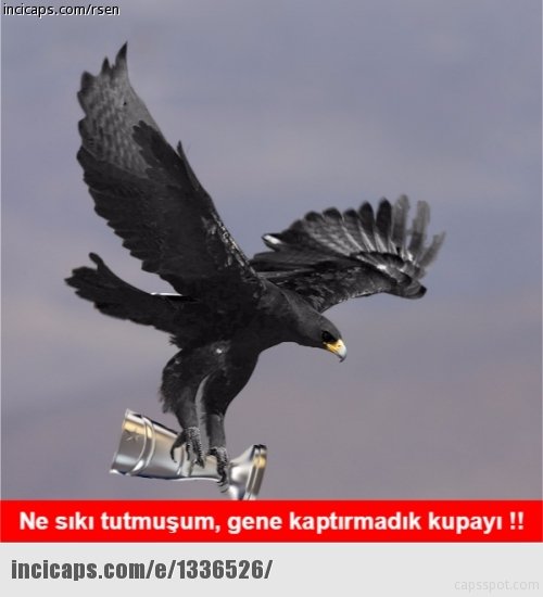 Beşiktaş’ın şampiyonluk capsleri!