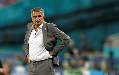 Son dakika EURO 2020 haberleri: Türkiye-Galler maçının ardından Şenol Güneş: Olumsuz duruma düştük