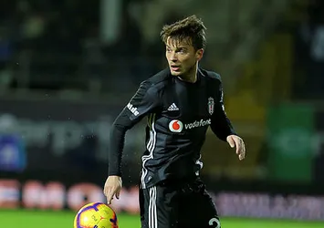 Ljajic korkusu