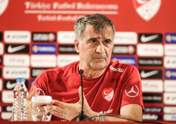 Şenol Güneş: Amacımız Fransa'yı yenmek