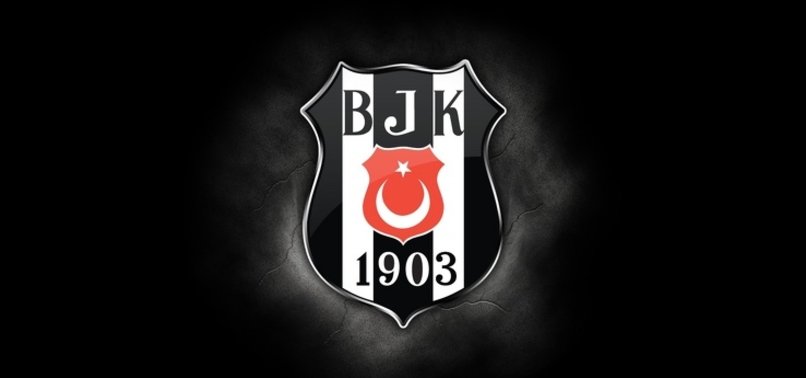 Beşiktaş transferi bedavaya bitiriyor! Ljajic'in yerine gelecek