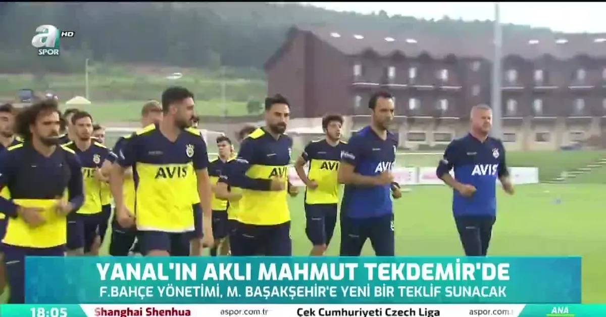 Yanal'ın aklı Mahmut Tekdemir'de