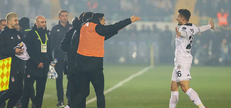 Atom karınca: Dorukhan Toköz