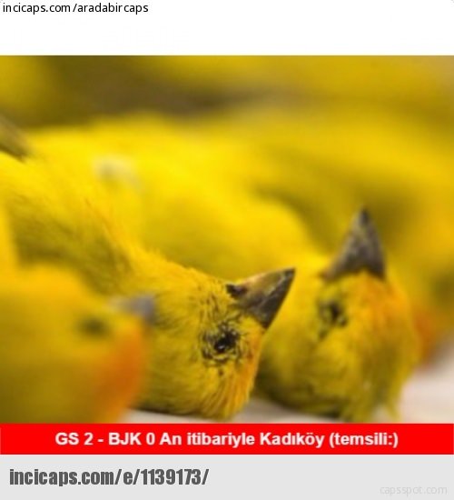 En komik Galatasaray Beşiktaş  capsleri