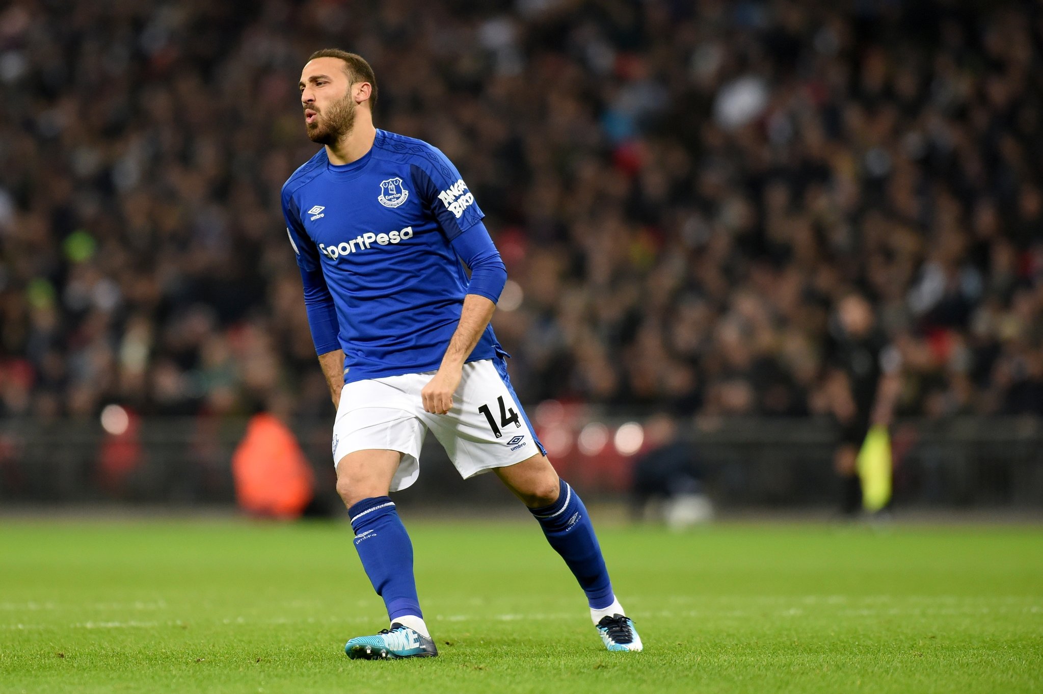 İlk maçında Cenk Tosun’a övgüler yağdı