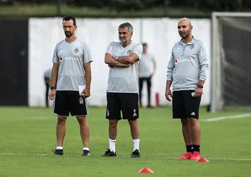 Şenol Güneş'ten transfer açıklaması
