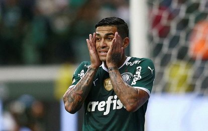 Fenerbahçe Dudu transferinde ısrarcı! Jorge Jesus devrede