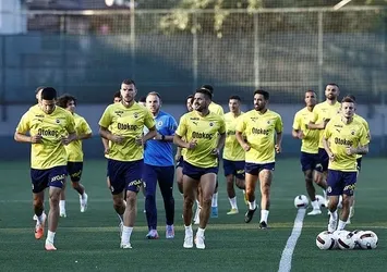 F.Bahçe'de Maribor mesaisi!
