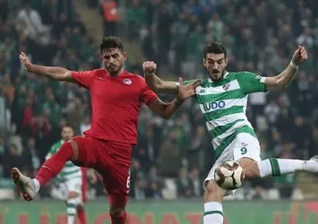 Timsah ‘ham’ yaptı