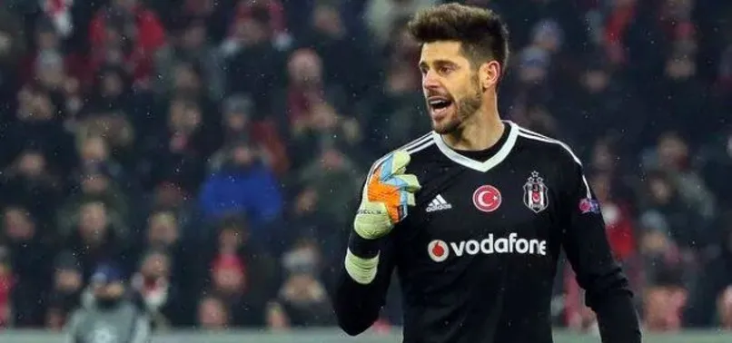 Fabri: Beni geri alın