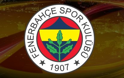 FENERBAHÇE HABERLERİ - İşte Fenerbahçe’nin yer aldığı UEFA Avrupa Ligi D Grubu’ndaki puan durumu!