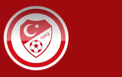 Türkiye 2-0 Romanya MAÇ SONUCU-ÖZET