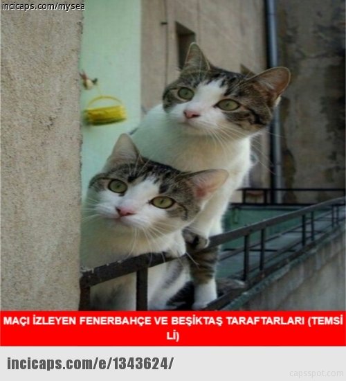 Osmanlıspor - Galatasaray maçı capsleri güldürdü