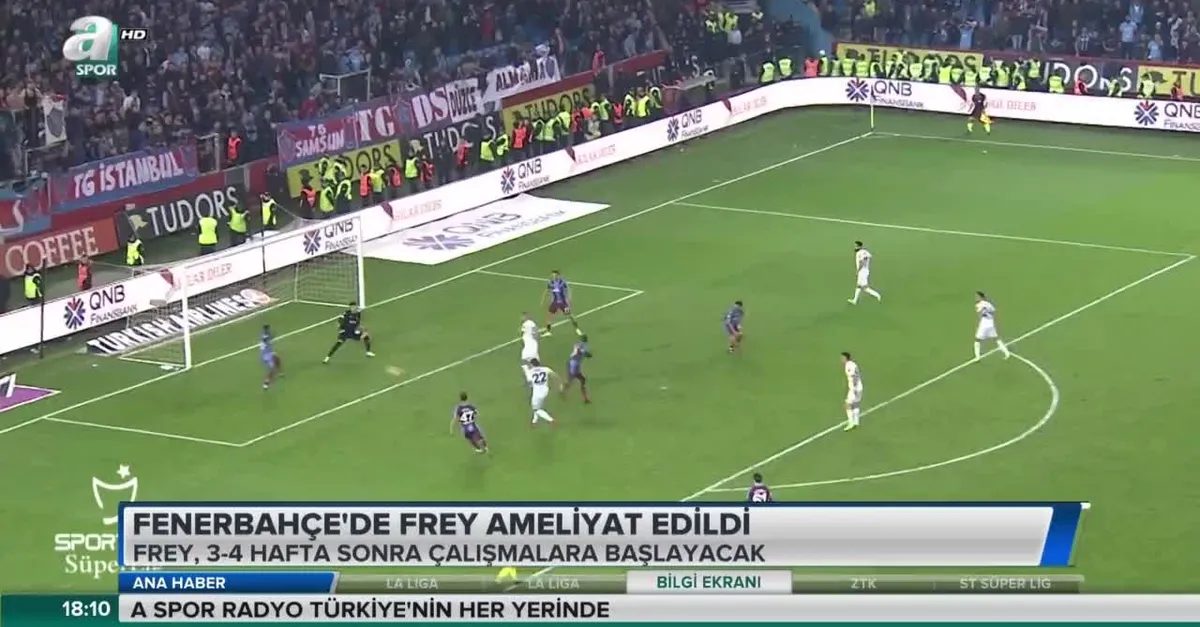 Fenerbahçe'de Frey ameliyat edildi