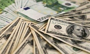 31 Mayıs dolar, euro, sterlin fiyatları!