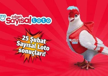 İşte Çılgın Sayısal Loto sonuçları!