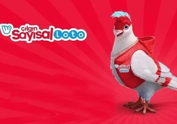 Çılgın Sayısal Loto çekildi! (16 Haziran)