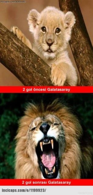 Galatasaray-Benfica maçı capsleri