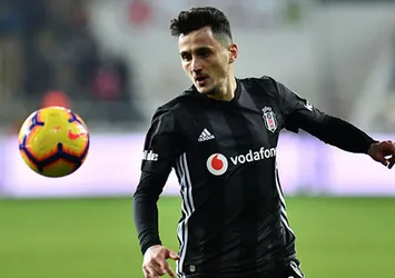Pektemek dönemi bitiyor