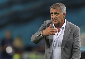 Milli Takım'da Şenol Güneş ile yollar ayrıldı!