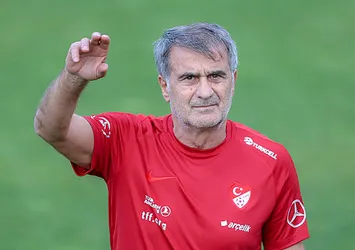 Şenol Güneş: Tek renk olalım