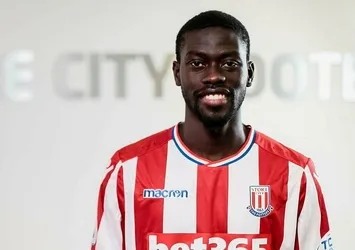 Aslan'da NDiaye soruşturması