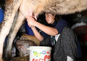İnek sağarak güçlendirdiği eliyle bilek güreşinde dünya 3.sü oldu!