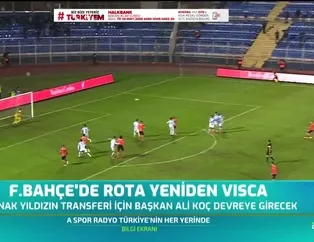 Fenerbahçe'de rota yeniden Edin Visca