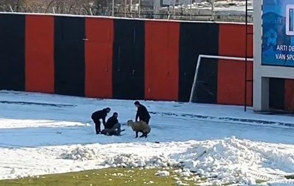 Maç oynanırken kurban kestiler!