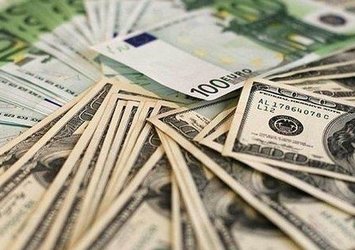 29 Mayıs dolar, euro, sterlin fiyatları!