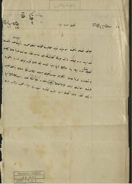 Osmanlı Devleti ikiz ailelerine maaş bağlamış - 6