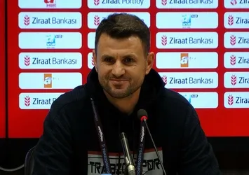 Patron Çimşir