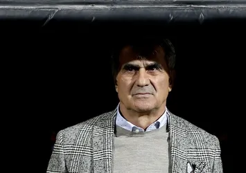 Şenol Güneş'ten Fenerbahçe açıklaması
