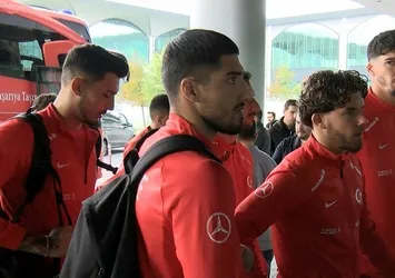 Milliler Danimarka'ya gitti
